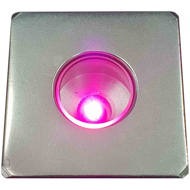 FOC-F-WLF762_Purple__99475