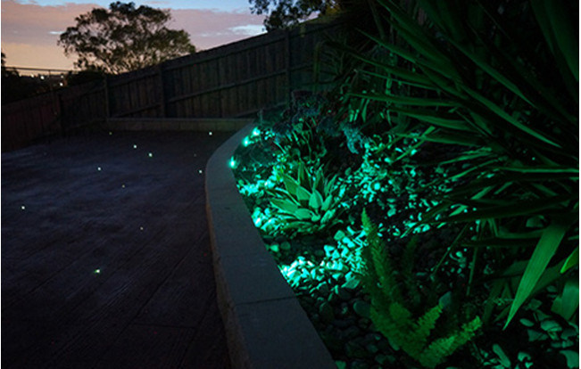 Enrich your outdoor space with vibrant fiber optic garden lighting
