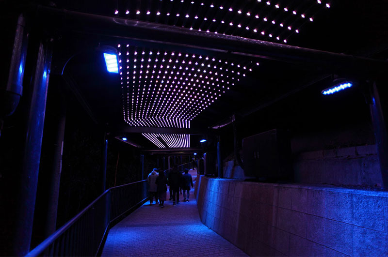 Fiber Optic End Point Lighting Walkway