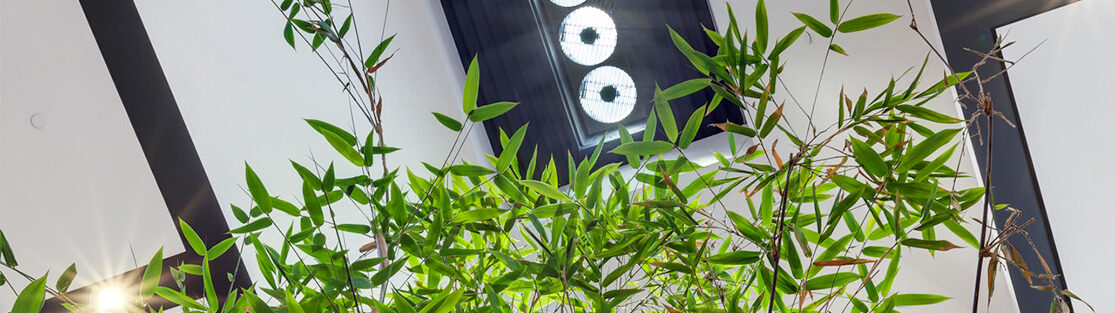 Sumbeamer natural daylighting system