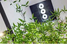 Sumbeamer natural daylighting system