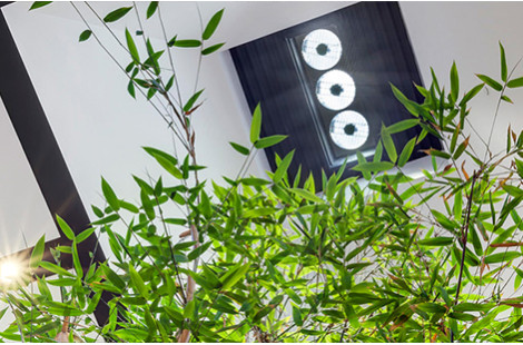 Sumbeamer natural daylighting system