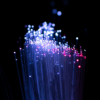starlight kit fibers 1