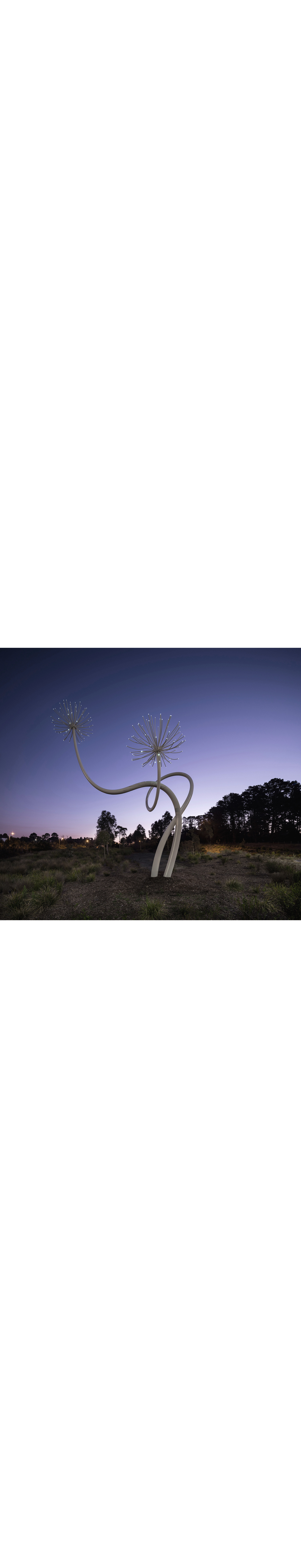 Loveflower Andrew Curtis Loveflower