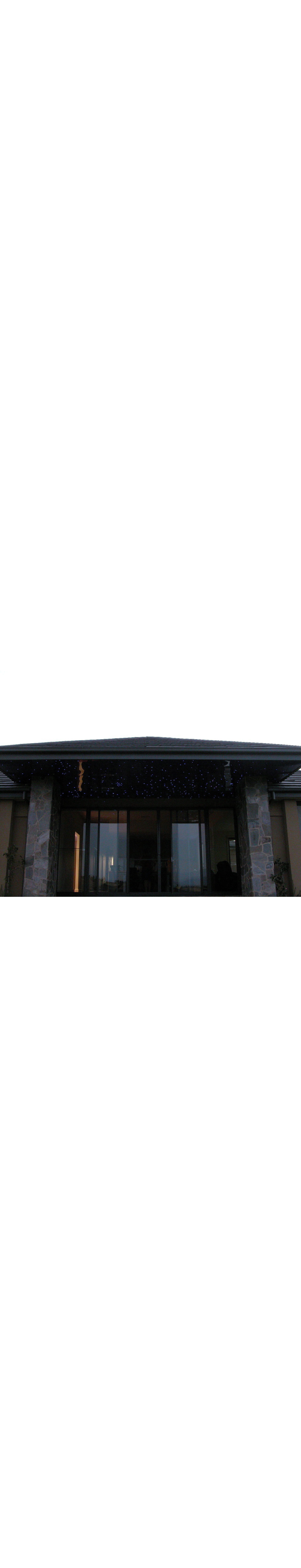 Outdoor Star Ceiling 02