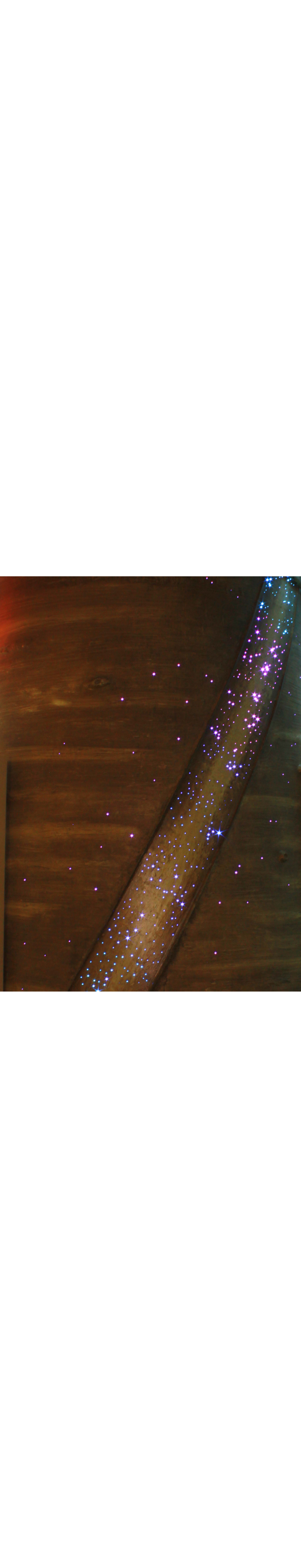 Tree Lights